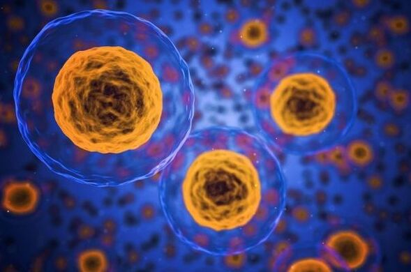 Cum se întâmplă procesul de pierdere în greutate