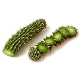 hoodia gordonia - compoziție Reduslim